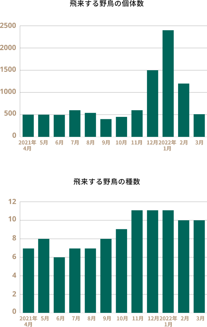 モニタリングデータ