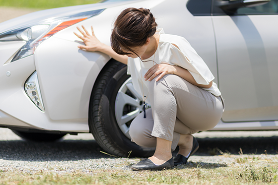 猫バンバンのやり方は？乗車前にドライバーができること