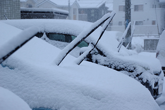 降雪のためにワイパーを立てた車