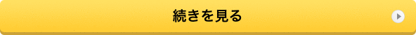 続きを見る