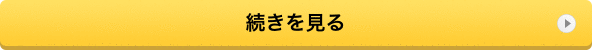 続きを見る