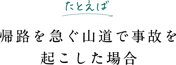 たとえば 帰路を急ぐ山道で事故を起こした場合
