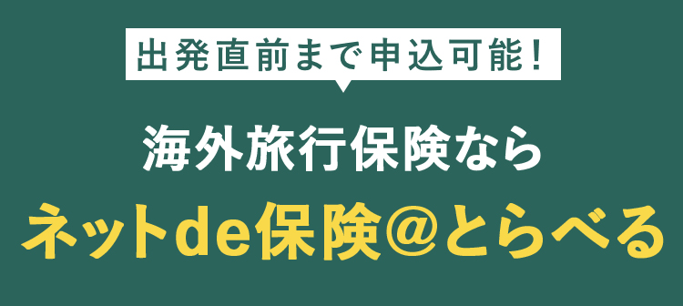 出発直前まで申し込み可能! 海外旅行保険なら ネットde保険＠とらべる 特定手続用海外旅行保険