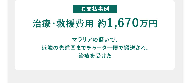 お支払事例 治療・救援費用 約1,650万円 マラリアの疑いで、近隣の先進国までチャーター便で搬送され、治療を受けた