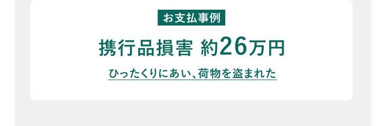 お支払事例 携行品損害 約26万円 ひったくりにあい、貴重品や衣類などを盗まれた