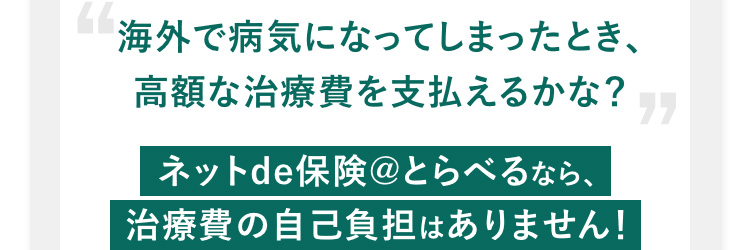 海外で病気になってしまったとき、高額な治療費を支払えるかな？ ネットde保険@とらべるなら、治療費の自己負担はありません！