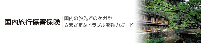 国内旅行傷害保険 国内の旅先でのケガやさまざまなトラブルを協力ガード