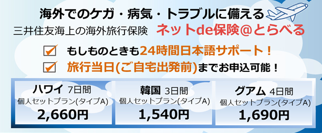 特定手続用海外旅行保険 ネットｄｅ保険＠とらべる｜個人のお客さま