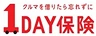1DAY保険
