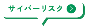 サイバーリスク