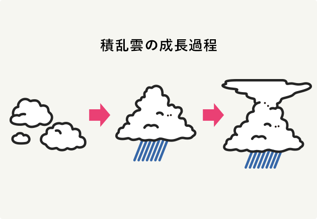 落雷とは？特徴や豆知識と備え  災害対策｜知る・楽しむ｜三井住友海上