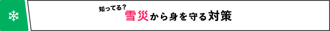 知ってる？ 雪災から身を守る対策