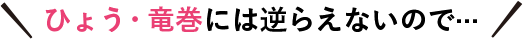 ひょう・竜巻には逆らえないので…