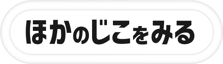 ほかのじこをみる