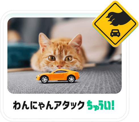 うっかり踏んづけちゅうい！