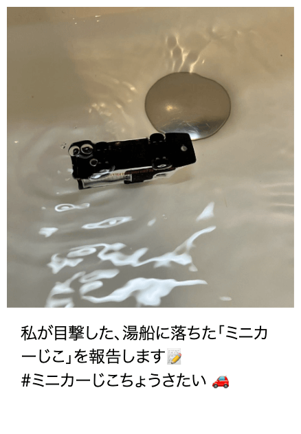 「ミニカーじこ」報告画像