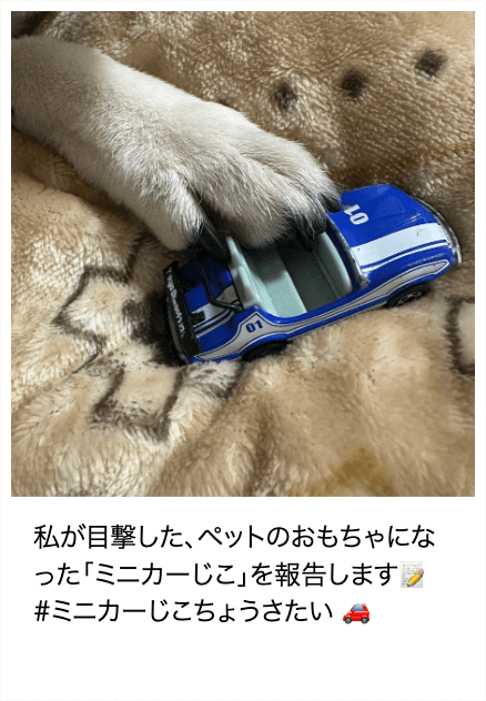 「ミニカーじこ」報告画像