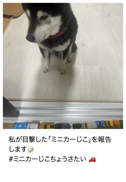 「ミニカーじこ」報告画像