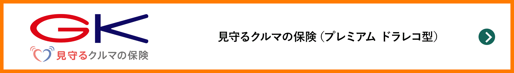 見守るクルマの保険（プレミアム ドラレコ型）